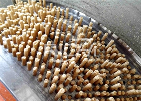 3-5T/H Animal Feed Pellet Production Line(Pelletizing and Cooling System)  In Uzbekistan
