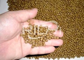 科特迪瓦300-400公斤/小时浮鱼饲料生产线
