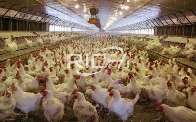 small chicken animal livestock feed production line